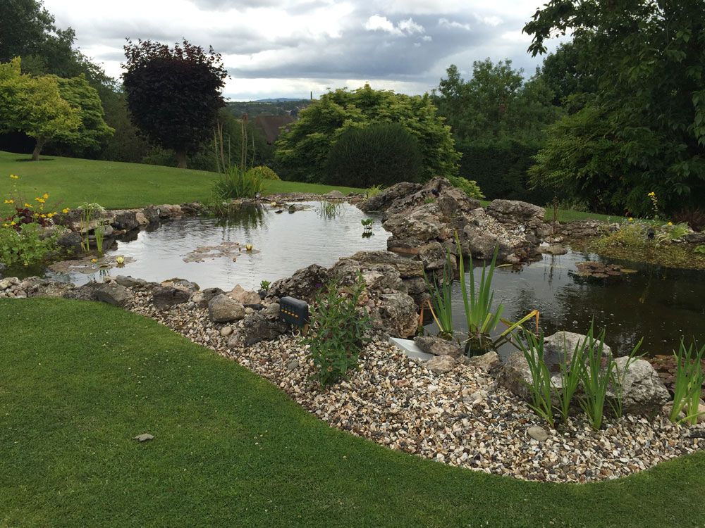 Carter's ponds & landscapes - ponds and waterfalls